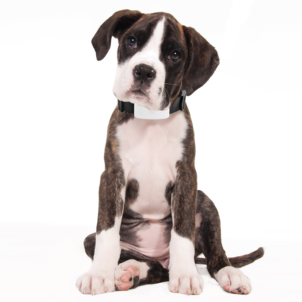 Wifi+Gps+Lbs Positioning Adsorption Charging Tk911 Pet Cat and Dog Gps Tracking Locator