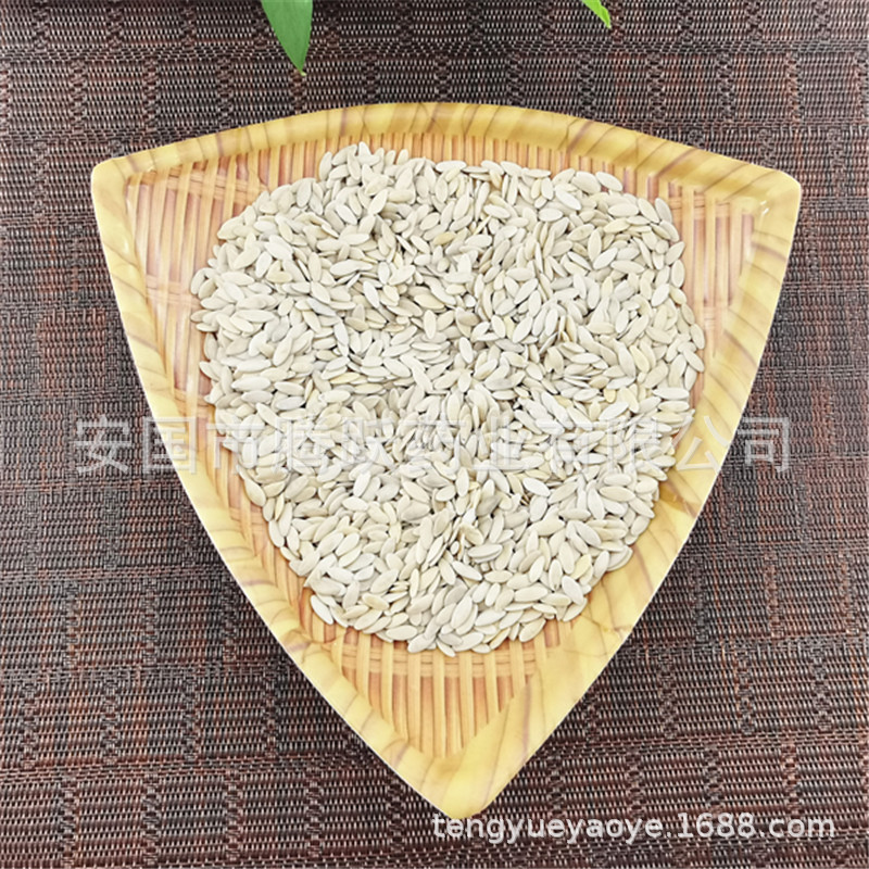 Dried Cucumber Seed Huang Gua Zi 500g Bulk Traditional Chinese Herb for Decoction and Culinary Use overview