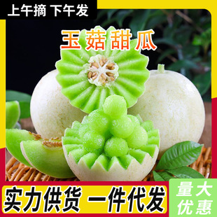 ������������rˮ�������֭������]����С����۹ϱ�������