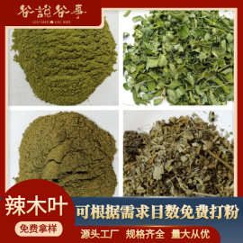 厂家直销辣木叶粉  鼓槌树叶99原料打粉 各种规格辣木叶中药材粉
