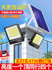 2025新款太阳能户外灯庭院室内外家用超亮一拖二人体感应防水照明