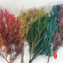 �ɻ������L��ǧ�ӽ������linsɭϵ�b廨����ǧ�ӽ��~����