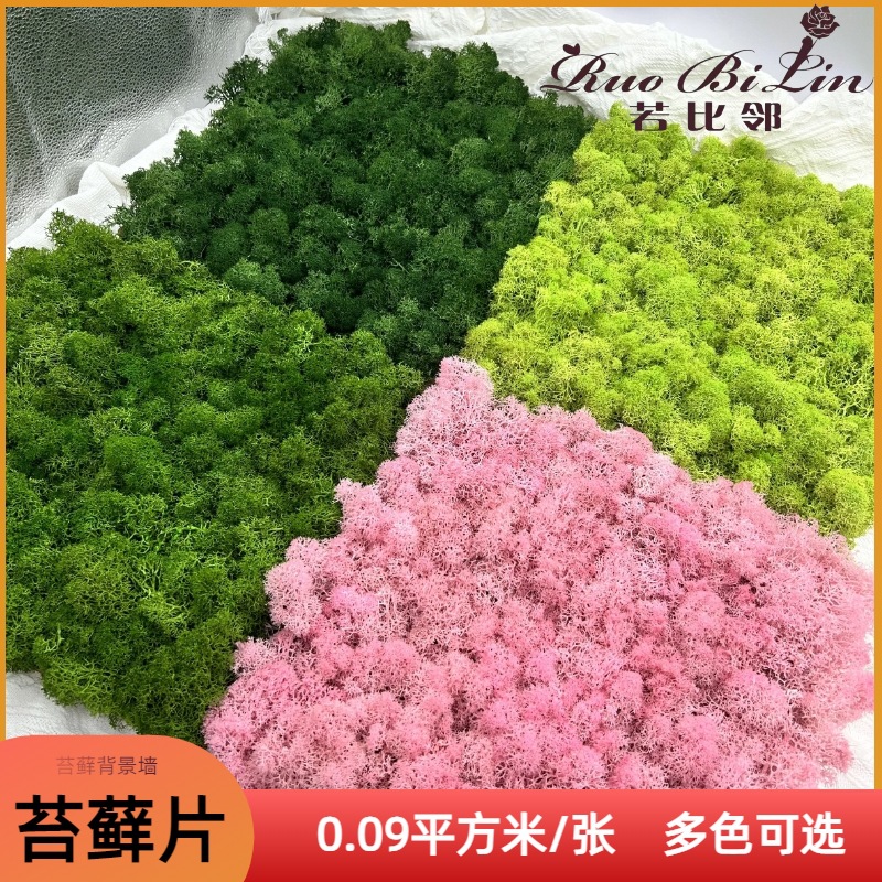 永生苔藓板阻燃人造板片微景观仿真绿植装饰永生苔藓墙