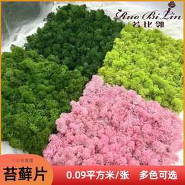永生苔藓板阻燃人造板片微景观仿真绿植装饰永生苔藓墙