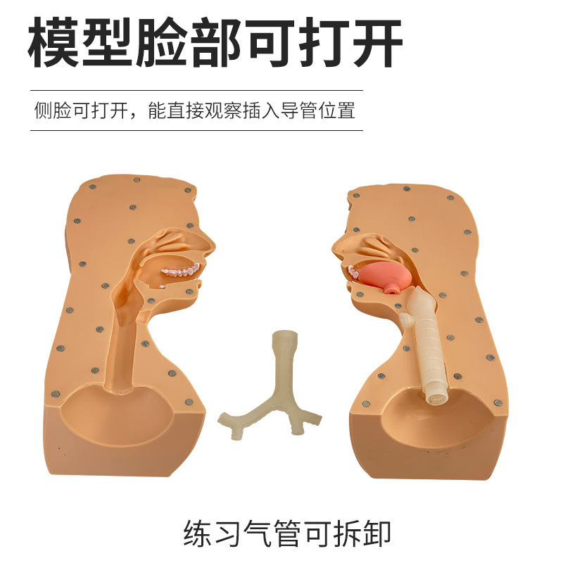 �߼���̵��ϰģ�� ��ǻ��ǻ�������ѵ��ģ�� ҽѧ�ò�����ѧģ��