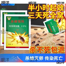 蟑螂药家用室内厨房强力除蟑螂全窝端大小蟑螂克星粉剂