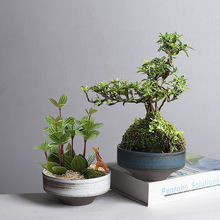 �羳�͹ŸG׃����̦�\��ˮ�໨��廨����o���~�X�ݾG�}ˮ����