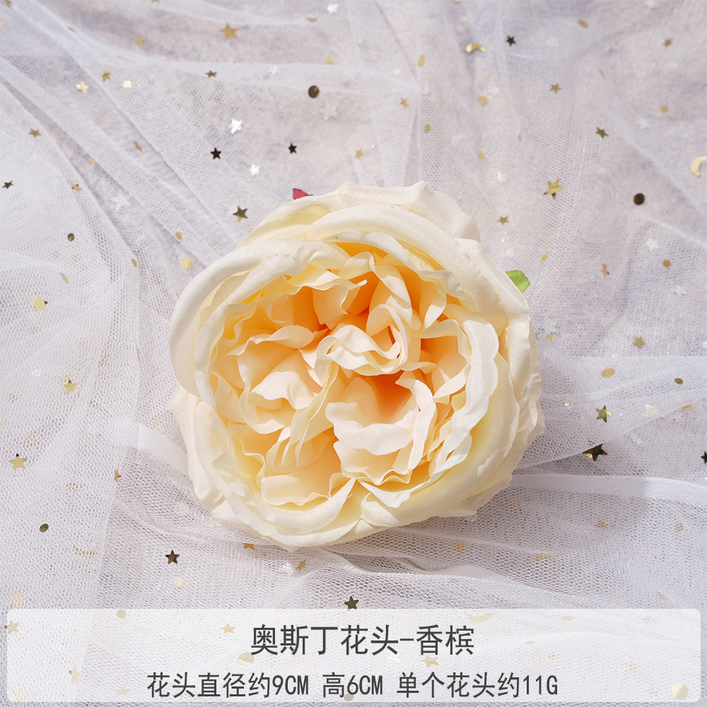 TY-오스틴 꽃 머리-샴페인