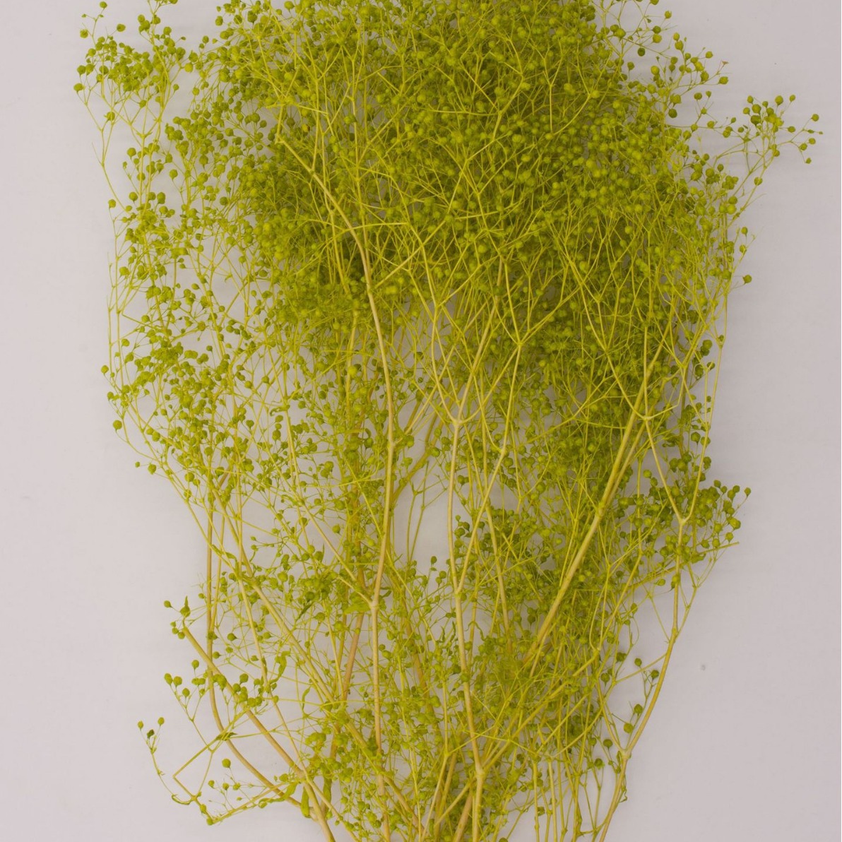 Fabricante pequeño cielo estrellado hierba millones de estrellas regalo del Día de San Valentín cielo estrellado ramo accesorios flor eterna