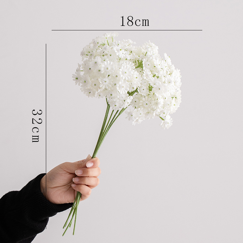 별 무리 작은 데이지 (흰색)