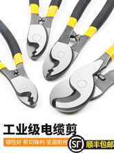 ��|��늾����� ��[�Q늹��о��ྀ�Q�ք�6 8 10��g���Q�����Q