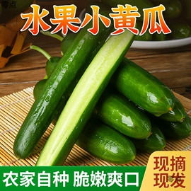 膨化;方便面类;节庆用品