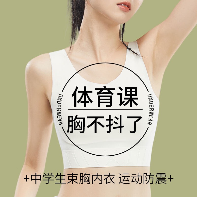 Sports Bra for Female Junior High School Students, High-Intensity Shock-Proof Chest Vest for High School Girls with Large Breasts That Make Them Look Smaller When Running Sports Bra for Female Junior High School Students, High-Intensity Shock-Proof Chest Vest for High School Girls with Large Breasts That Make Them Look Smaller When Running