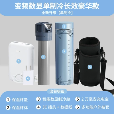 insulin refrigerator box for medicine: Soyuducular - box4-side-screen-single-cooling-long-lasting-luxury-version