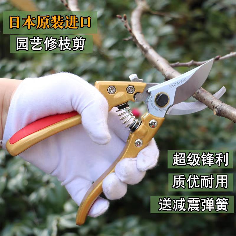 跨境出口修枝剪批发园艺剪花艺修剪树枝剪刀果树花枝剪子修花SK5