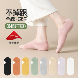 �m���ļ����mŮ�������������l�����������mŮ����ɫȫ�޶�Ͳ�m��