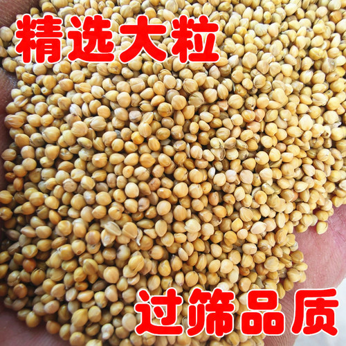 Selected yellow millet, small and medium-sized parrot feed, new bird food, millet, tiger skin, black phoenix, peony, large grain millet