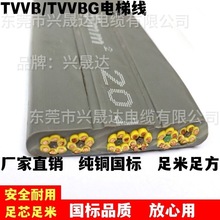 ����S����|TVVB36о����|  �p䓽z����| 늚��O�� �o���~��ȼ