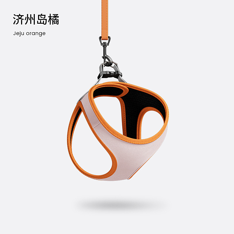 Correa de perro pequeño perro pecho Correa perro Correa chaleco perro de peluche perro correa de perro oso