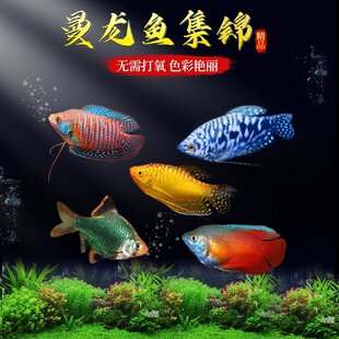 �����~�Ꭷ�^�p�~���B�ͻˮ�~��С�ͻ��~��������~�����R���~