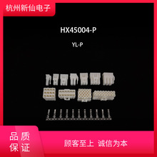 HX45004-P������ͷYL-PT-����������/��1��100/����������