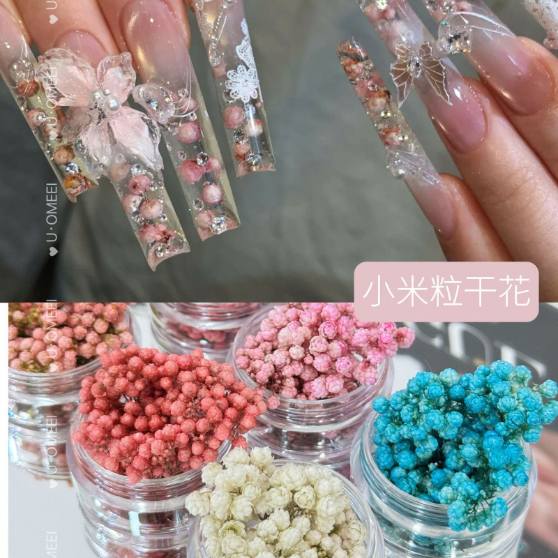 Japanese-Style Nail Art with Small Dried Flowers, New Trendy Small Flowers, Mini Flower Beads for DIY Nail Decorations, Real Flower Nail Art