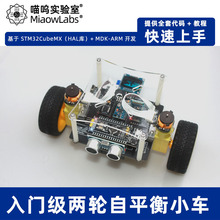 STM32两轮自平衡小车寻迹避障蓝牙遥控DIY散件套件MiaowLabs