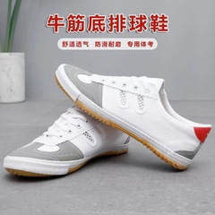 Wholesale volleyball shoes for men and women, martial arts sports shoes, tendon-soled canvas shoes, non-slip breathable test shoes, lightweight tennis shoes