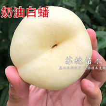 ������Ҙ���� ���Ͱ���Ҙ��� 36-3�����޽������Ϸ������Nֲ