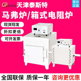 天津泰斯特SX-4-10/SRJX-5箱式电阻炉实验室高温马弗炉工业加热炉