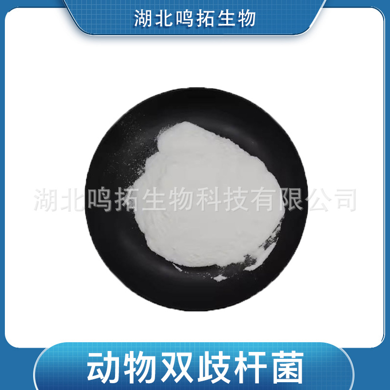 动物双歧杆菌动物双歧杆菌动物亚种益生菌原料