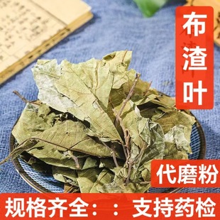 �����~ ��ș�����l �Ʋ��~ �鲼�~ �Ƀ��o�s ֧���؛ �н�ӆ��