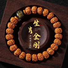 ��������С���������ִ�ʮ����Ф�����������������P���Ȧ���