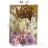 A5-17