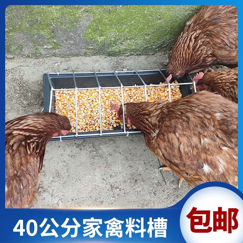 Tanque de alimentación de pollo tanque de alimentación de lechones de cerdo tanque de alimentación de cerdo tanque de alimentación de cerdo tanque de alimentación de cerdo a granel tanque de alimentación de cerdo tanque de alimentación de cerdo