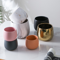 Creative balcony garden simple succulent ceramic flower pot table decoration Nordic modern golden electroplated small flower pot