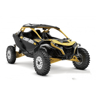 Arctic Sky CanAm2024 Lone Ranger RXRS Carbon Black Racing Yellow 4WD Beach Buggy utv Four Wheel Kart