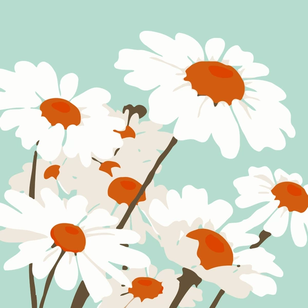 XH-037-White Daisy