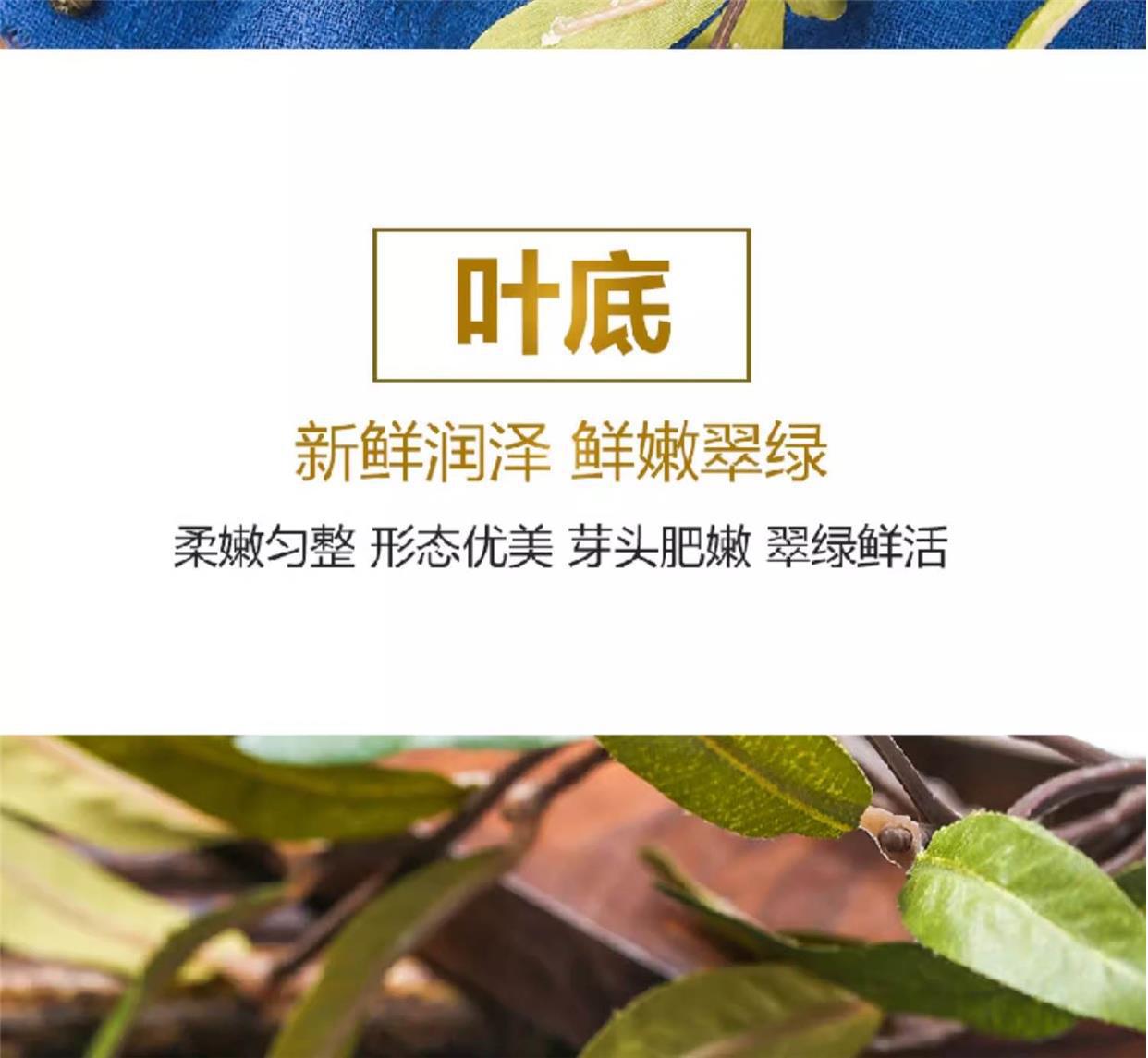 Jasmine Dragon Pearl Tea Mo Li Long Zhu Loose Leaf Strong Fragrance 250g Bulk in use