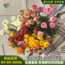 ��ĵ���r�����l���������ëݢ�r�����껨��ɳ���廨�͏dƿ��ˮ�B