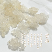 ���zѩ����ϴ������l���l2025����؛���zѩ�������׽M������r��