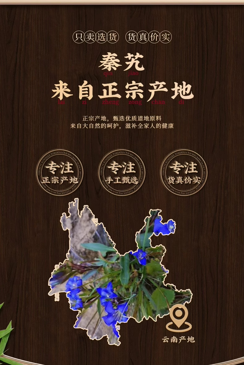 Qinjiao Chinese Gentian Root Dried Herbal Decoction Pieces 50g Bottle for Traditional Herbal Tea and Soup quality and texture