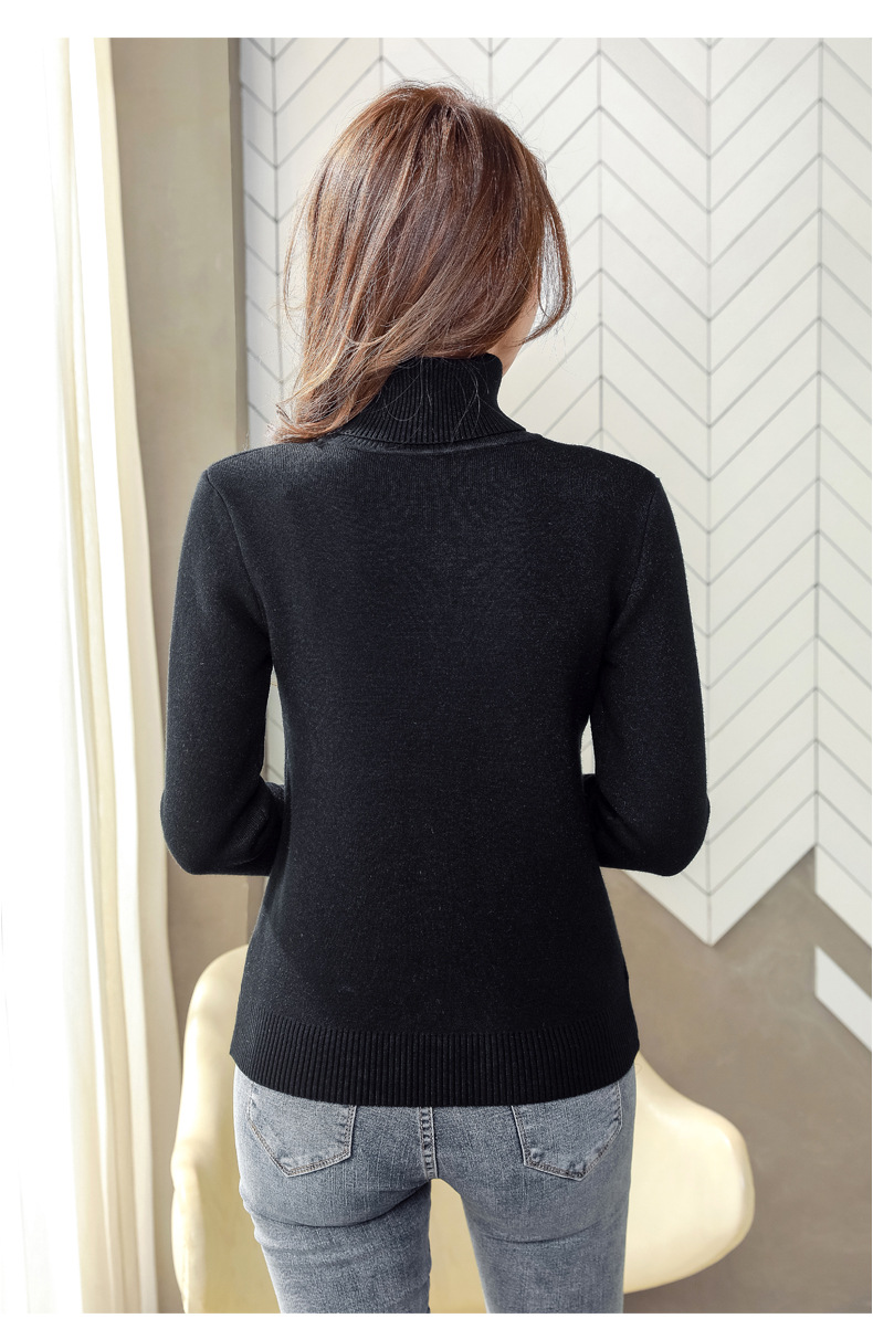 Women's Sweater Long Sleeve Sweaters & Cardigans Simple Style Solid Color display picture 10