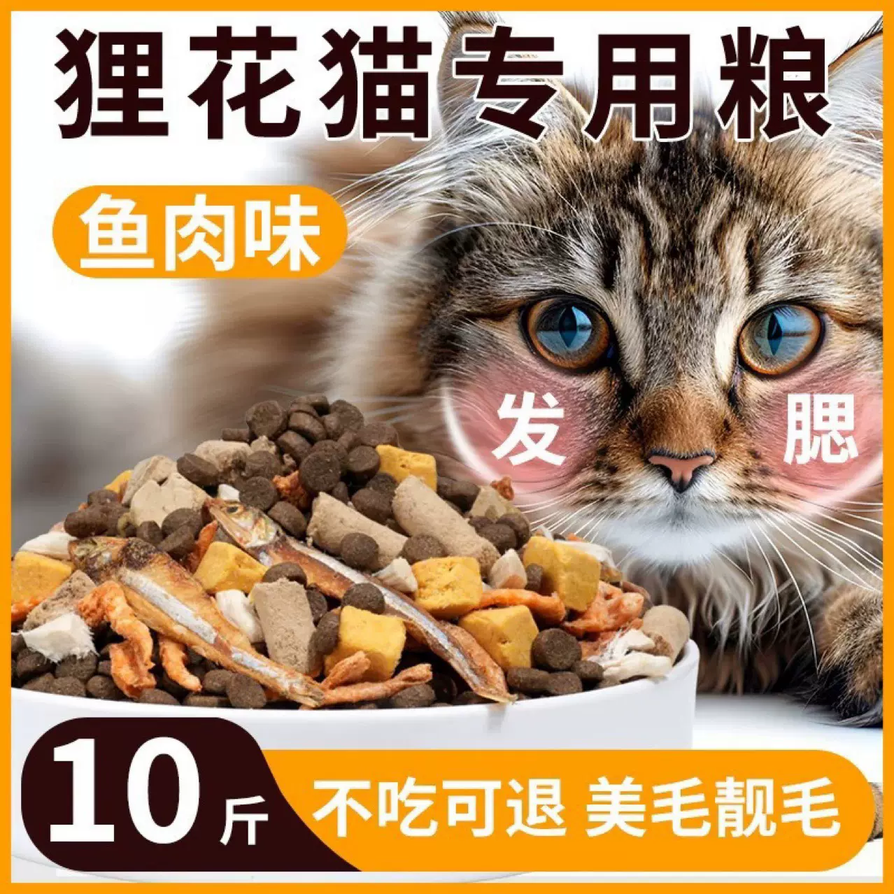 全价猫粮成猫幼猫10斤实惠装增肥发腮营养冻干土猫流浪猫咪专用5