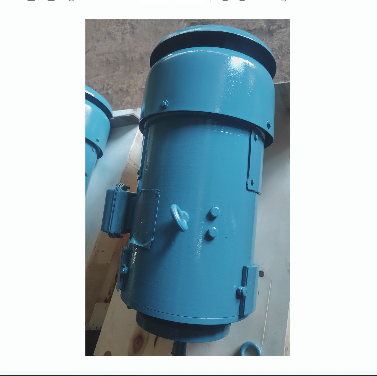 电机  Z2-31  1.5KW   合肥南洋电机  工厂直供