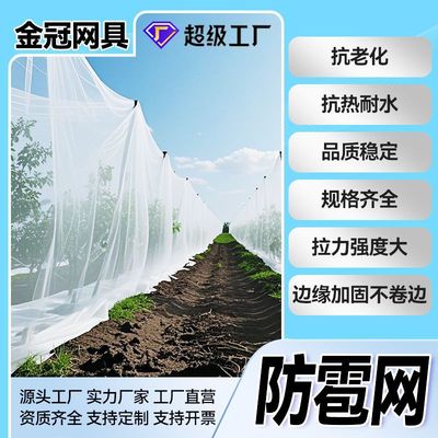 厂家直销果园防雹网 聚乙烯全新料防冰雹网 白色8mm孔径 抗老化抗|ms