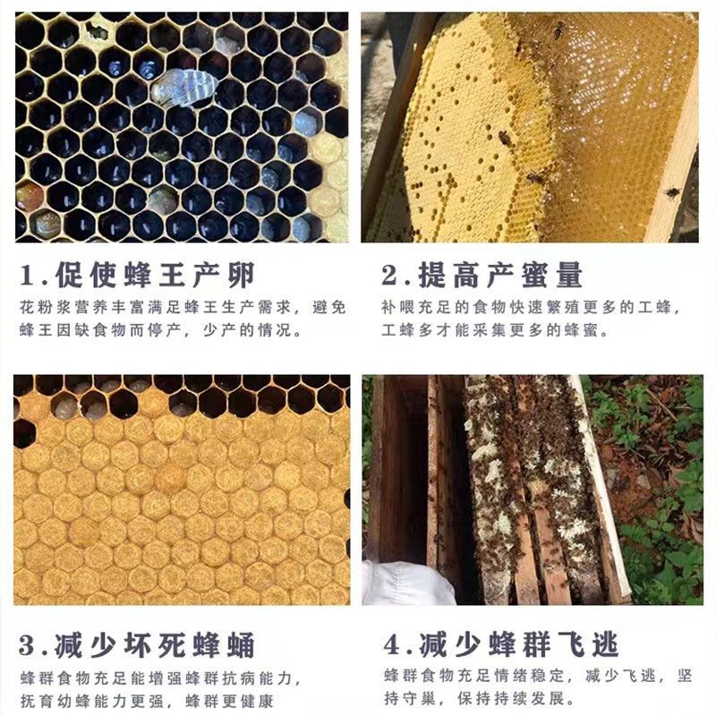 新型ミツバチは脾臓を作って生産します。|undefined