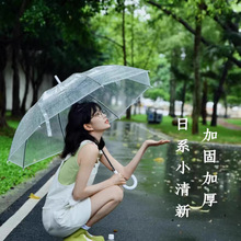 加厚透明雨伞男女网红小清新长柄自动小学生儿童广告定作logo包邮