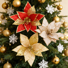 �羳�}�Q������W���}�Q���b�Ʒ���h�}�Q��Շ�����q���Ɍ�����