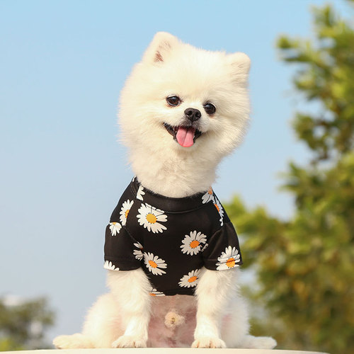 Dogs and cats clothes spring, summer and autumn new style for travel pet supplies teddy bear poodle small medium dog daisy internet celebrity 